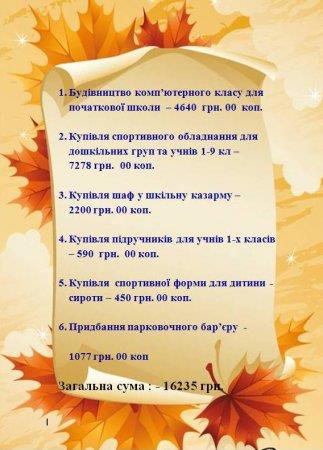 Звіт благодійного фонду «Діти Полісся» станом на 11.09.2015 р