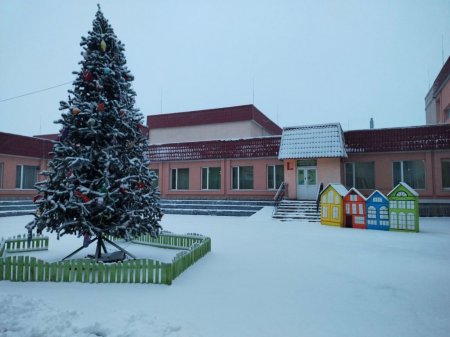 Зимові свята в ліцеї