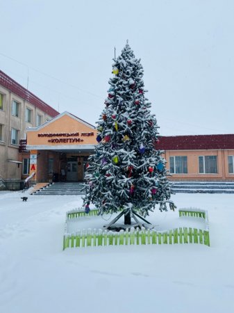 Зимові свята в ліцеї