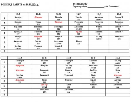 Розклад навчальних занять для учнів 5-11 класів на 10.10.2024 р.