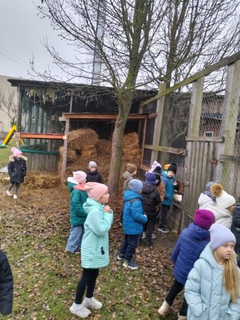 Екскурсія у шкільний мінізоопарк