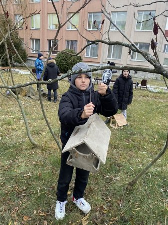 Акція «Допоможи птахам»  