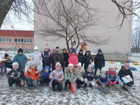 Допомога птахам взимку