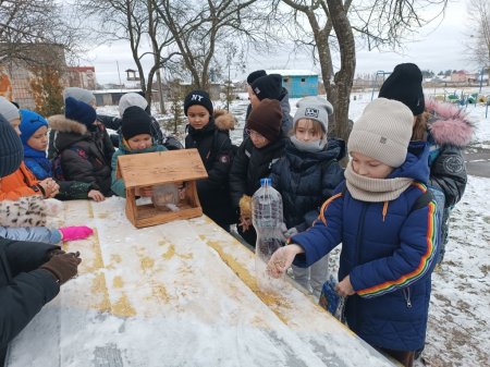 Допомога птахам взимку