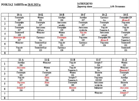 Розклад навчальних занять на 28.01.25