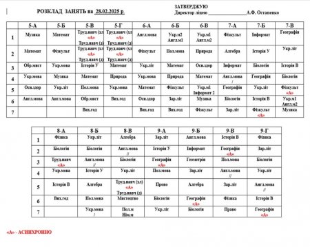 Розклад навчальних занять для учнів 1-11 класів на 28.02.2025 р.