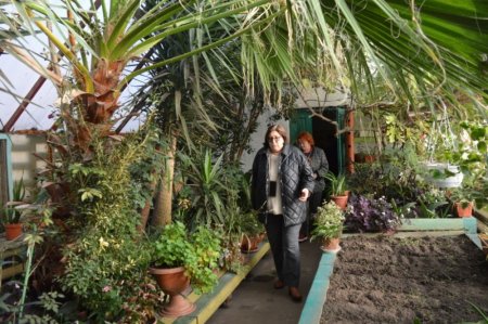 Обмін досвідом