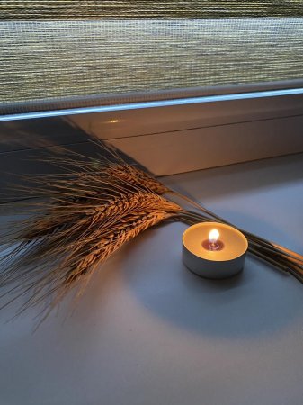 Голодомор-геноцид української нації