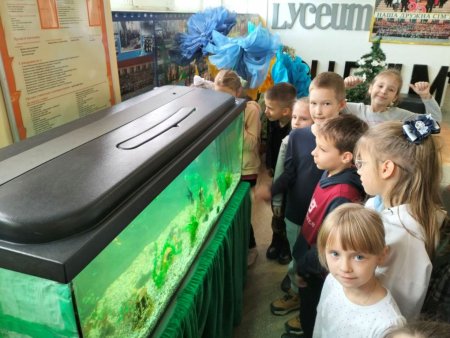 Відновлено акваріум для спостереження та дослідження