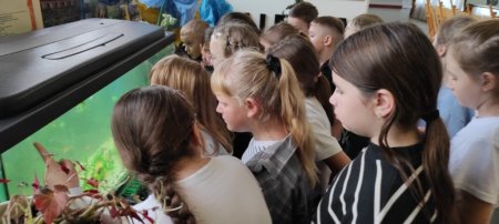 Відновлено акваріум для спостереження та дослідження