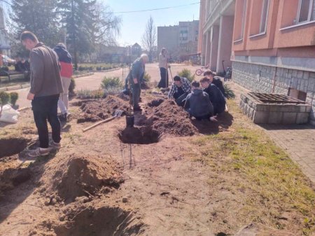 Озеленення території ліцею