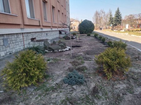 Озеленення території ліцею