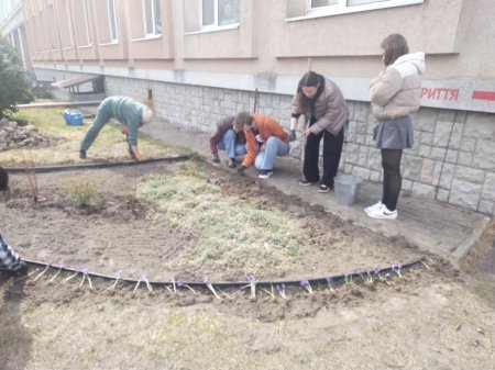 Озеленення території ліцею