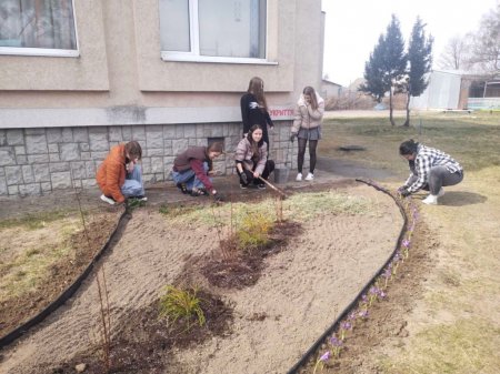 Озеленення території ліцею