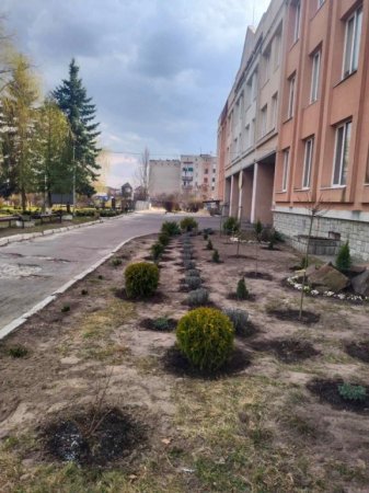 Озеленення території ліцею