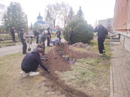 Озеленення території ліцею