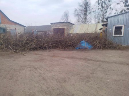 Весняна толока у ліцеї