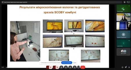 Юні екологи «Колегіуму» представили свої дослідження на обласному рівні