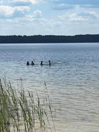 Літній відпочинок 9-А класу біля озера Біле