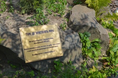 Історичний випуск–2026 у Володимирецькому ліцеї «Колегіум»!