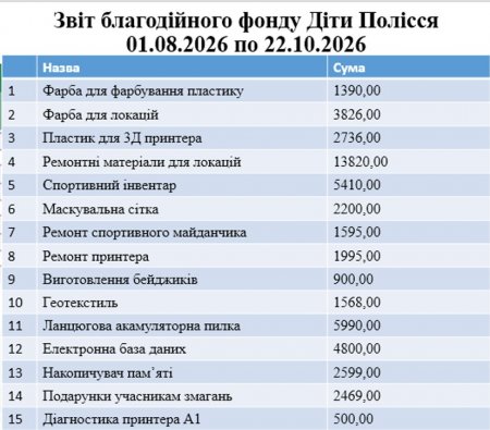 Звіт Благодійного фонду "Діти Полісся"